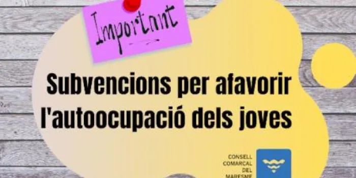 Els joves que tirin endavant un negoci podran demanar una subvenció que arriba fins als 10.000 euros