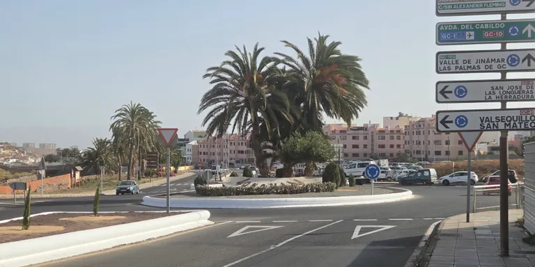 Parques y Jardines culmina la mejora paisajística de la avenida Alejandro Castro con 523 nuevas plantas