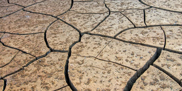 La pluja de les darreres setmanes permetrà que no s’hagin d’aplicar noves restriccions d’aigua aquest estiu