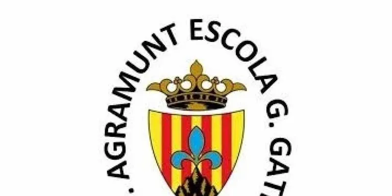L'Escola Gerard Gatell impulsa el 13è Campus d'Estiu