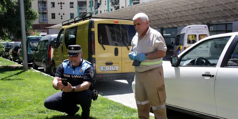 L'Ajuntament de la Seu ja ha identificat cinc propietaris de gossos per no recollir les defecacions al carrer