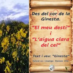 Des del cor de la “Ginesta”, avui notareu una mica de transcendència en aquestes afinades poesies: - episode art