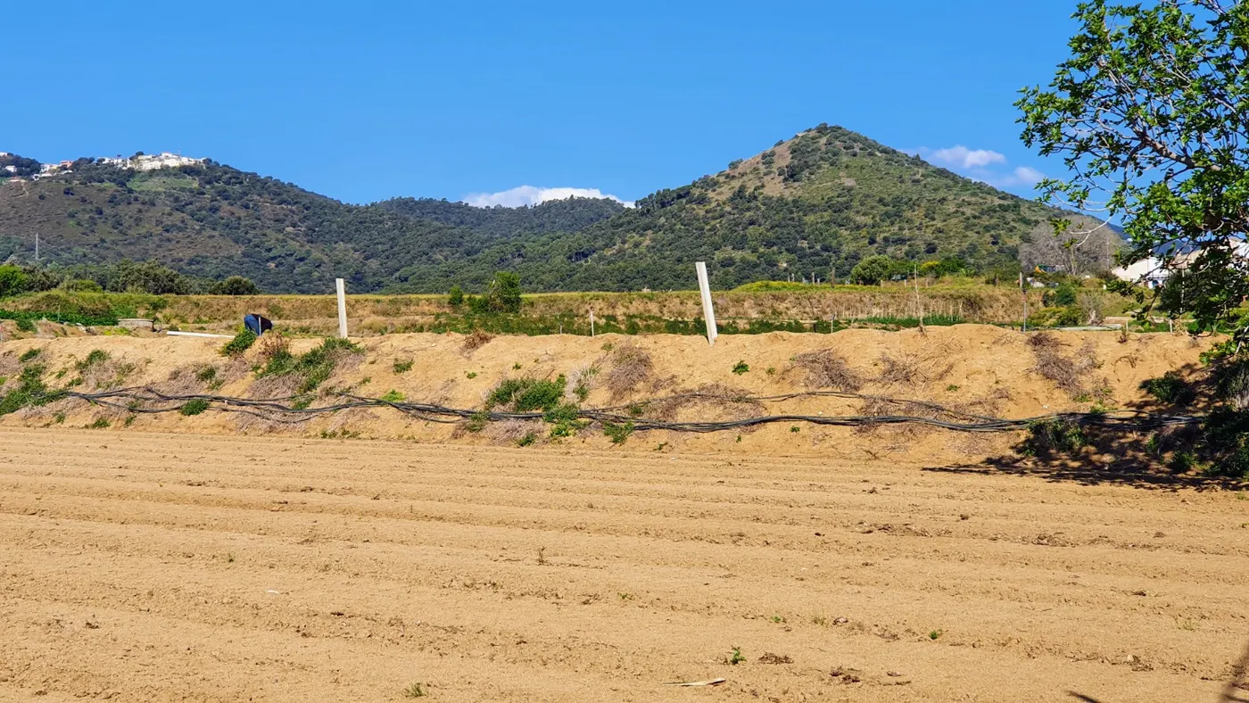 Domini del sol i temperatures més altes