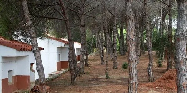 Una quinzena de persones participen en la Jornada de Voluntariat del Gepec a la Finca de Canyadell
