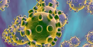 ESPECIAL CORONAVIRUS: Dijous 19 de març (migdia)