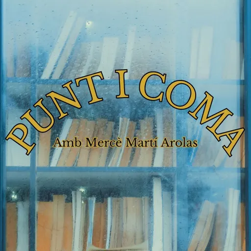 Punt i Coma