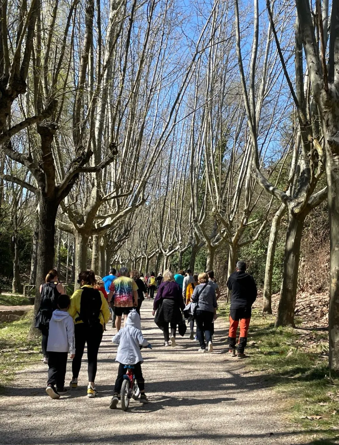 El Centre Sanitari organitza dues caminades a Solsona i Sant Llorenç per commemorar el Dia Mundial de l'Activitat Física