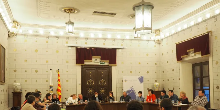 El ple de la Seu aprova que l'Ajuntament no faci noves contractacions amb EFIAL