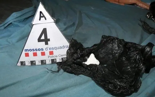 Foto: Mossos d'Esquadra