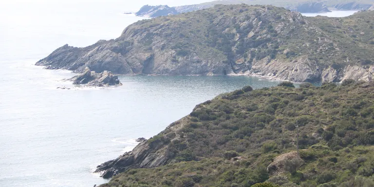 El Port de la Selva també s'oposa a la reintroducció de la foca monjo al cap de Creus i alerta d'efectes sobre la pesca