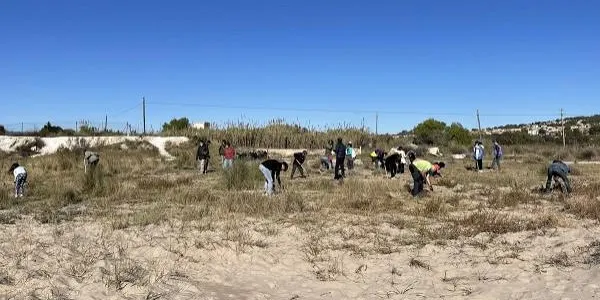 La plana del Vinyet d'Altafulla i la desembocadura del Gaià acullen aquest dissabte una jornada de neteja en el marc del 'Viu la platja'