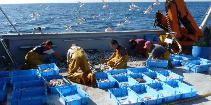 Els pescadors que hagin fet vedes rebran finalment les ajudes del Fons Europeu