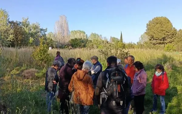 Foto: Hort de la Sínia