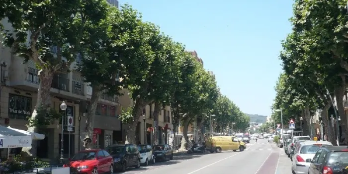 Avui es farà un tractament fitosanitari contra les plagues als arbres de la vila