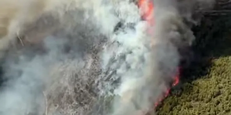 Estabilitzat l'incendi del Pla de Manlleu després de cremar 80 hectàrees de superfície majoritàriament forestals