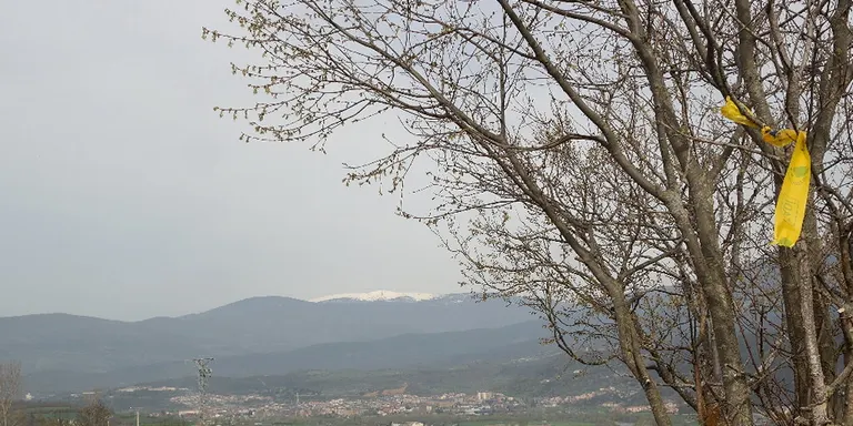 Suspesa l'edició d'enguany de la cursa La Foranca