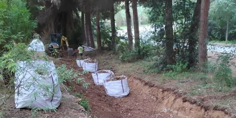 Es neteja el rial del Sapí i, més endavant, s'actuarà al Rial de la Serp i al Cavaió