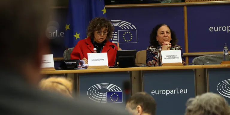 Xoc entre progressistes i conservadors al PE per la manca "d'imparcialitat" en l'informe sobre la immersió
