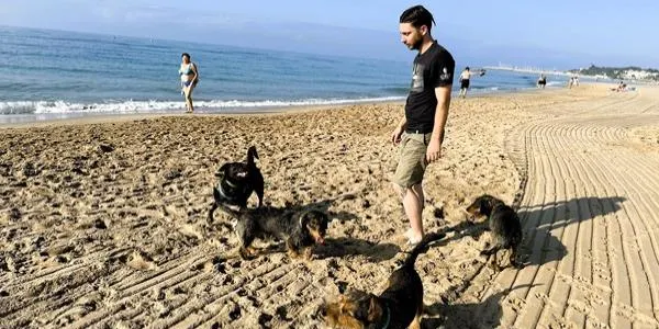 Bona rebuda i funcionament de la platja per a gossos de Torredembarra