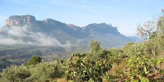 El paisatge rural, tema de la IX Jornada de Patrimoni d'Organyà