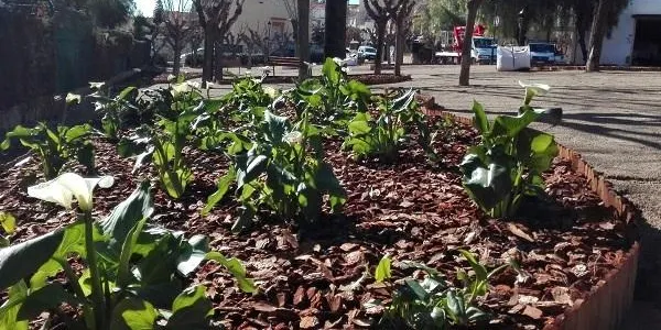 El ‘Jardí pintor Josep Sala’ d’Altafulla pren forma