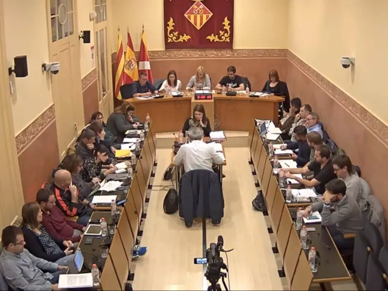 Ple ordinari novembre 2018