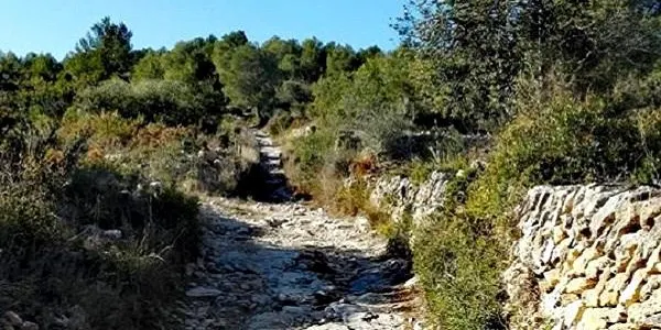 La Cursa de Muntanya de La Riera de Gaià tanca la primera edició de la Lliga Trail TgnNord