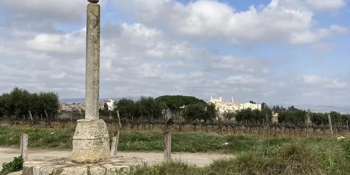 Sortides a Creixell i l'Arboç aquesta setmana amb La Torre Camina