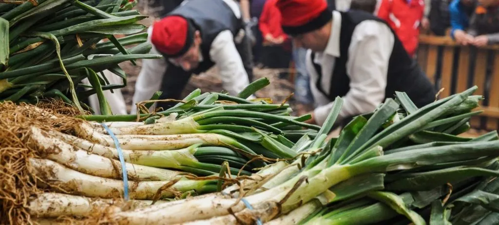 Valls, Terra de Calçot