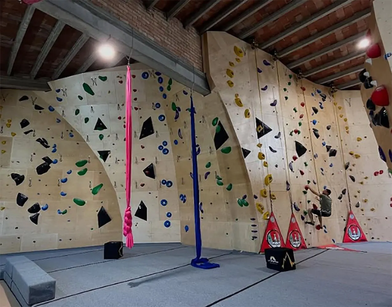 La regidoria d'Infància organitza un taller de rocòdrom adreçat a l'alumnat de primària