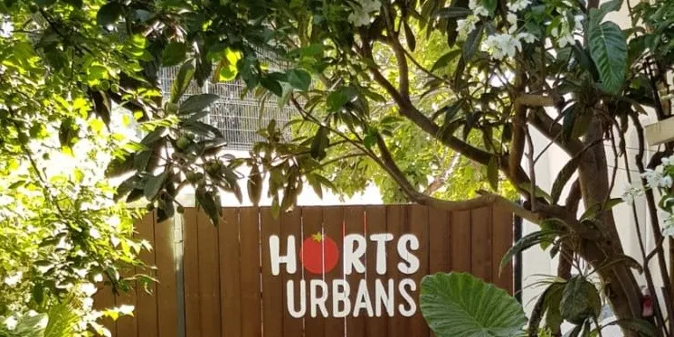 Els horts urbans de Pineda de Mar ja tenen adjudicataris