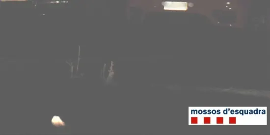 Els Mossos aturen a la Seu un conductor que anava a 185 quilòmetres per hora en una via de Tàrrega