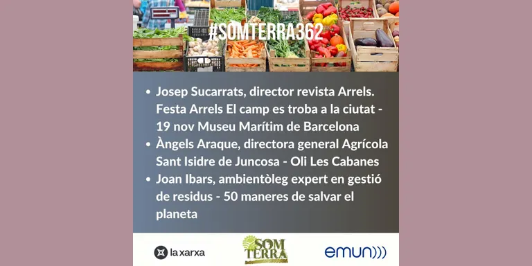 Som Terra 362