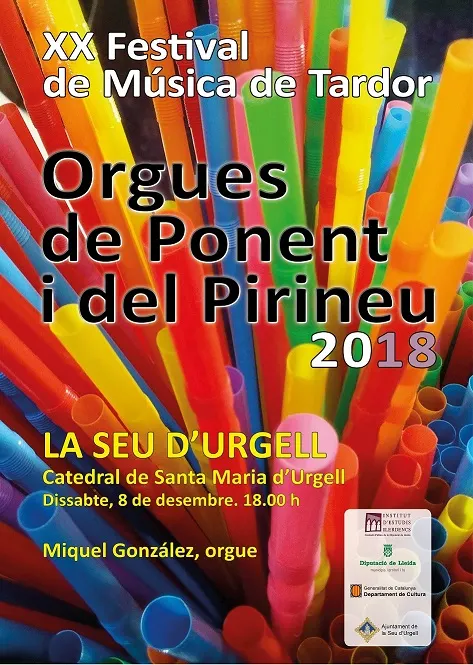 Concert del cicle Orgues de Ponent i el Pirineu a la Catedral de la Seu