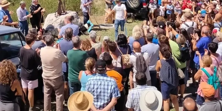 Els pastors aragonesos acaparen el podi del quinzè Concurs de gossos d'atura d'Odèn