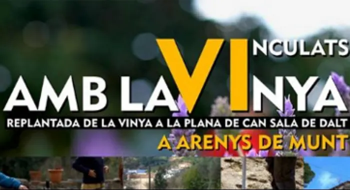 El Celler arenyenc Talcomraja engega el projecte ‘Vinculats amb la Vinya’