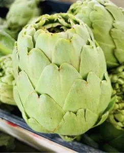 Anem a l’hort, cultiu ecològic o convencional