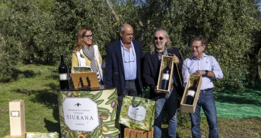 La DOP Siurana preveu una reducció de la collita d’oli d’entre el 35% i el 40%, tot i la bona qualitat de l’oove