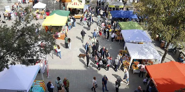 Entitats arenyenques demanen una repartiment just de l'espai per Sant Jordi i que els partits polítics no regalin roses