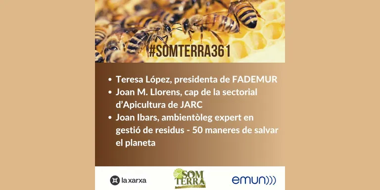 Som Terra 361