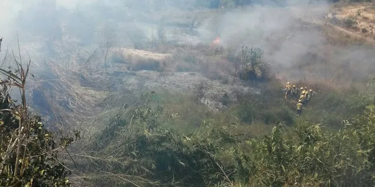 Els Bombers estabilitzen l’incendi de Picamoixons