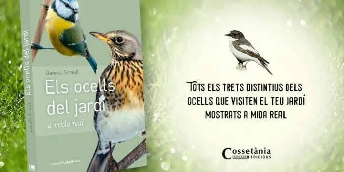 La Biblioteca acull avui la presentació del llibre ‘Els ocells del jardí’ de Daniel Strauss