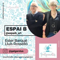 Gatgarotus amb Pili Garcia i Anna Canyi del 17/6/2022 - episode art