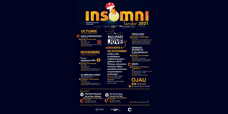Insomni Tardor presenta 8 activitats per a joves de la Seu i l'Alt Urgell