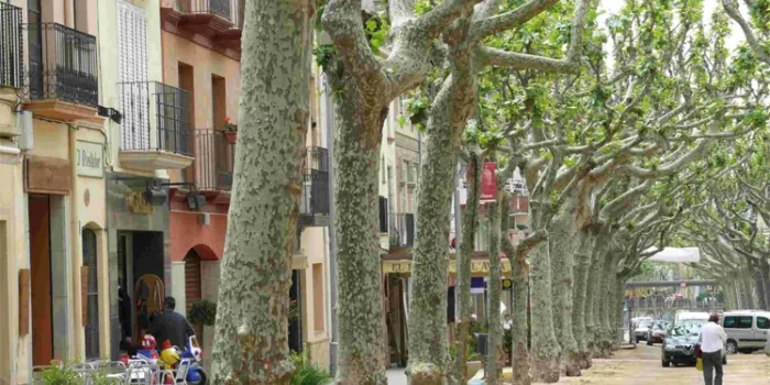 Últims dies per fer propostes pel pressupost participatiu del 2018 a Arenys de Munt