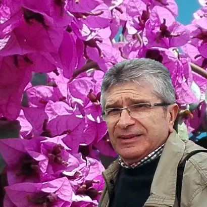 SOTA LA BUGUENVÍL·LIA