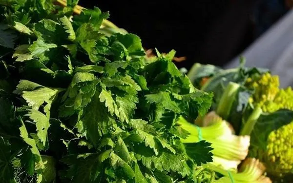 L’Hort de la Sínia d’Altafulla oferirà la cinquena edició del Mercat Agroecològic el 3 de juny