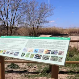 Guillermo Garcia, regidor de Medi Ambient de Tarragona, el projecte GreenBalt'26 - episode art
