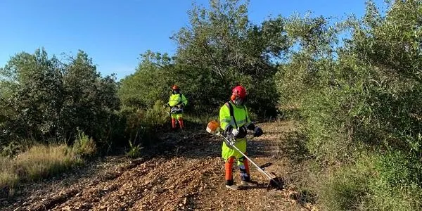 Oberta la convocatòria dels Plans d’Ocupació 2022 de la Diputació de Tarragona