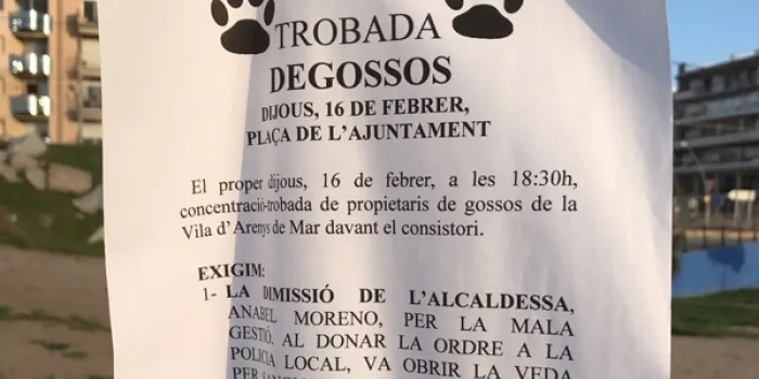 Els col·lectiu que passeja gossos a la platja es desmarca dels cartells apareguts avui
